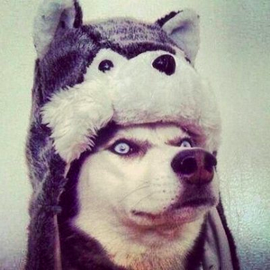 fusillicode avatar