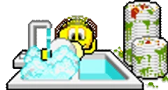 WASHINGDISHES emote