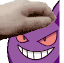 PETTHEGENGAR animated emote