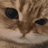 rar