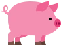 pig emote