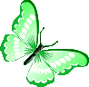 green_butterfly animated emote