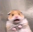 scared emote