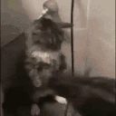 burning emote