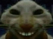 szczuras emoji