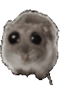 ohver animated emote