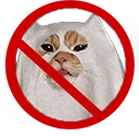 NoCatGhoust emote