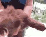 bork emote