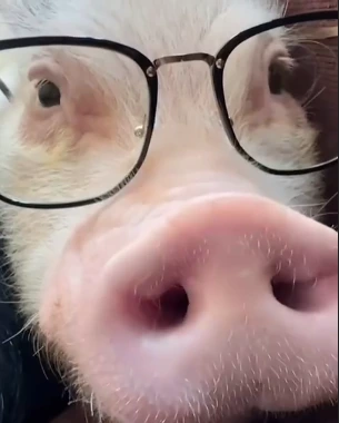 Eugene emote