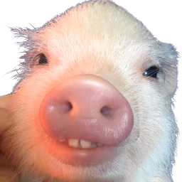 da_pig emote