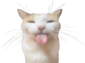 BLEHHHHH emote