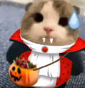 oopsie emote