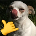 AufDog emote