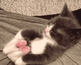 STRETCH emoji