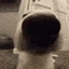 Sniff emote