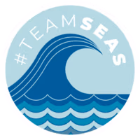 TeamSeas emote