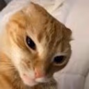 criminaloffensivesideeye emote