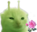 glorpflower emote