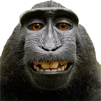 monkey_smile emote