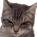 Rascal emote