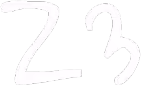 Z3 emote