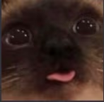 blem emote