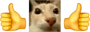 Ok emote