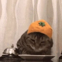 plong emote