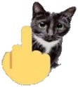FUcat emote