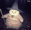 fatasswizardcatrunsaway emoji
