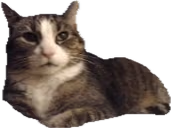 khot emote