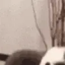 CatSlam emote