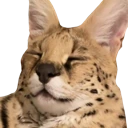sogga_smile emote