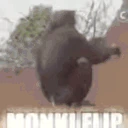 MONKEFLIP emote