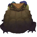 GRUMP emote