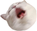 Nana_AAA emote