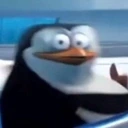 WHAT emote