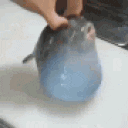 fish animated emote