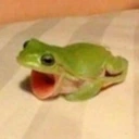 AHHHHHHHH emote