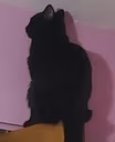 HersheyMad emote