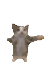 happie emote