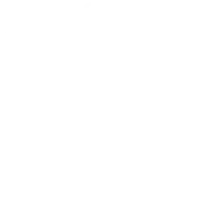 Role_Mod_White emote