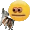CarONE emote