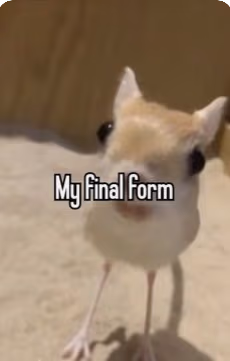 my_final_form emote