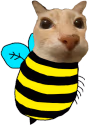 dosevispa emote