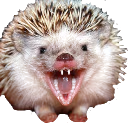 desi_mad emote