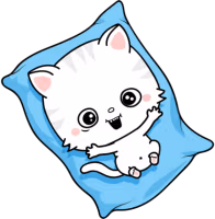 summy_pillow emote
