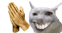 PenisClap emote