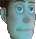 He_Didnt_Cook_Woody emote