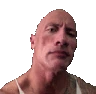 DwayneEyebrow2 emoji